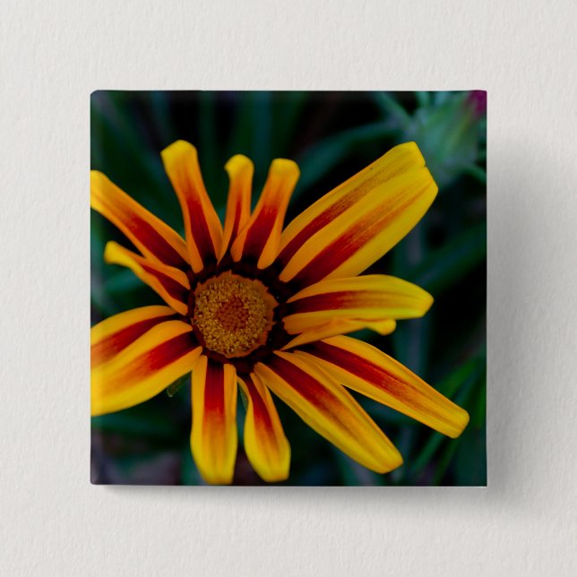 Badge Carré 5 Cm Fleur de Gazania (Devant)