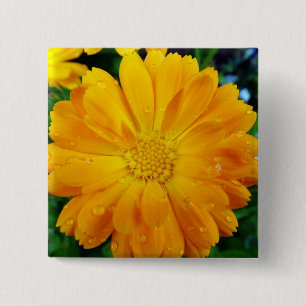 Badge Carré 5 Cm fleur de gerbera jaune