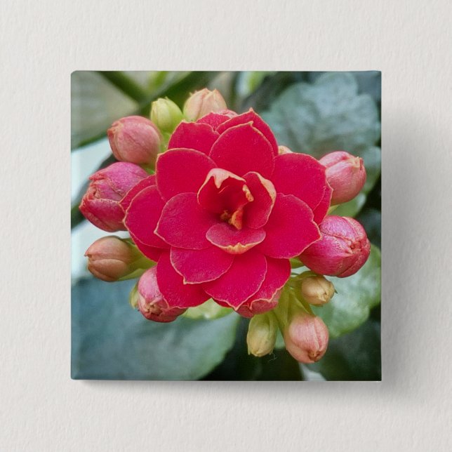 Badge Carré 5 Cm Fleur de Kalanchoe (Devant)