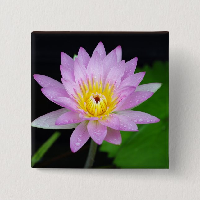 Badge Carré 5 Cm Fleur de Lotus (Devant)