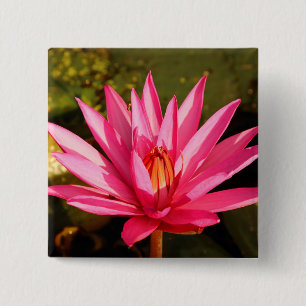 Badge Carré 5 Cm Fleur de Lotus dans la nature