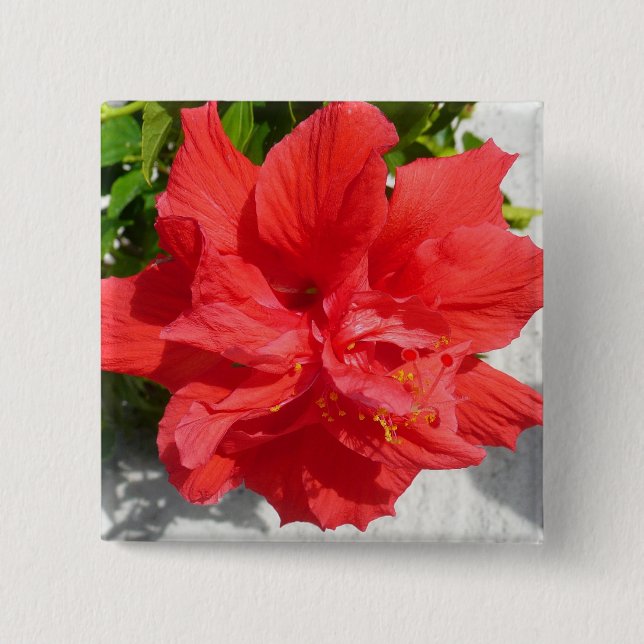 Badge Carré 5 Cm Fleur double hibiscus rouge (Devant)