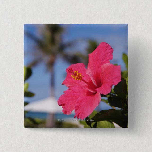 Badge Carré 5 Cm Fleur rose de ketmie (Devant)
