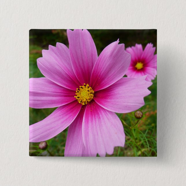 Badge Carré 5 Cm Fleur sauvage de fleurs Cosmos roses (Devant)