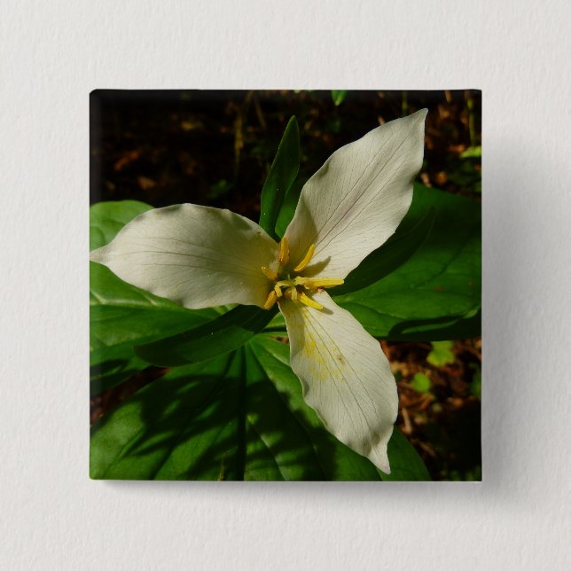 Badge Carré 5 Cm Fleur sauvage de printemps blanc Trillium Flower (Devant)