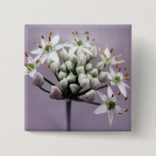 Badge Carré 5 Cm Fleurs d'ail et de ciboulette blanches sur fond vi