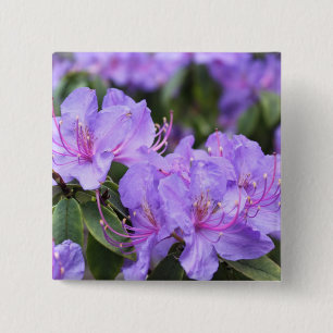 Badge Carré 5 Cm fleurs d'azalée violettes,杜鹃花