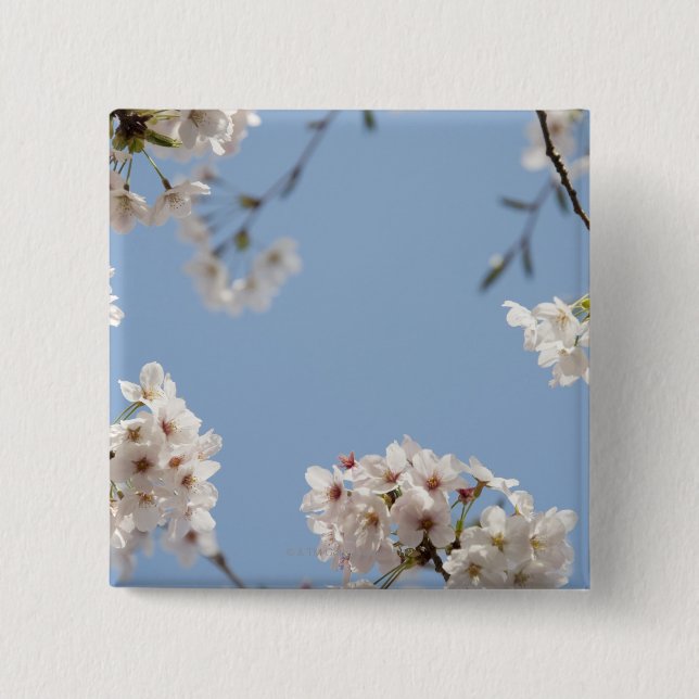 Badge Carré 5 Cm Fleurs de cerisier (Devant)
