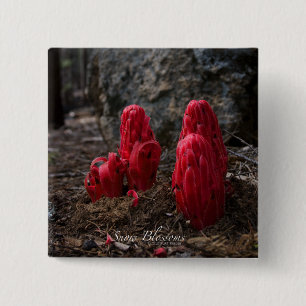 Badge Carré 5 Cm Fleurs de neige