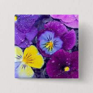 Badge Carré 5 Cm Fleurs de pensée flottant dans un bain d'oiseaux a