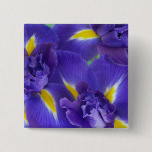 Badge Carré 5 Cm Fleurs d'Iris