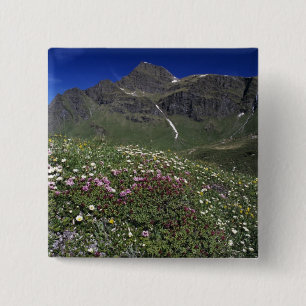 Badge Carré 5 Cm Fleurs sauvages, en fleurs, Alpes, Suisse