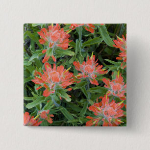 Badge Carré 5 Cm fleurs sauvages indiens en pinceau dans les nombre
