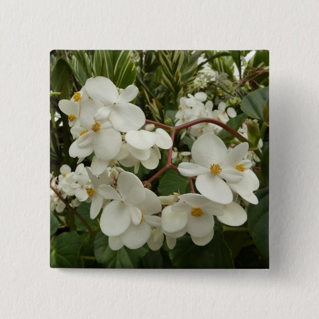 Badge Carré 5 Cm Flore de Bégonia blanche tropicale (Devant)