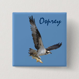 Badge Carré 5 Cm Flying Osprey & Fish Wildlife Photography