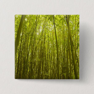 Badge Carré 5 Cm Forêt de bambou près du sentier de Waikamoi Ridge,