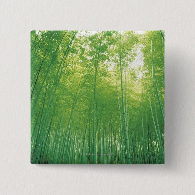 Badge Carré 5 Cm Forêt en bambou 2 (Devant)
