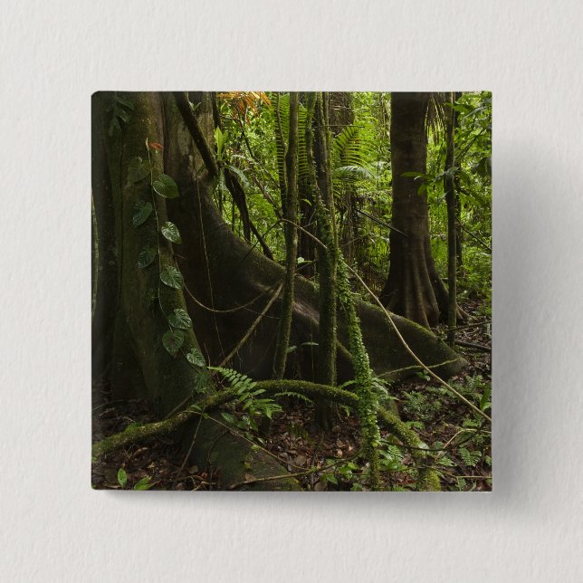 Badge Carré 5 Cm Forêt tropicale, rivière Mapari Nord Rupununi, (Devant)