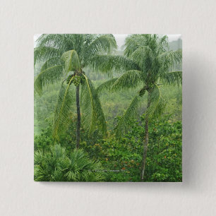 Badge Carré 5 Cm Forêt tropicale tropicale