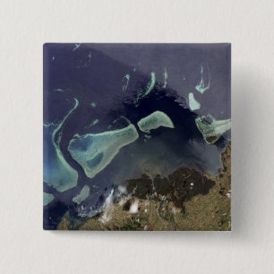 Badge Carré 5 Cm Forêt verte profonde sur terre