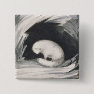 Badge Carré 5 Cm Fox arctique, de 'récit d'un deuxième voyage