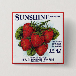 Badge Carré 5 Cm Fraises de Sunshine