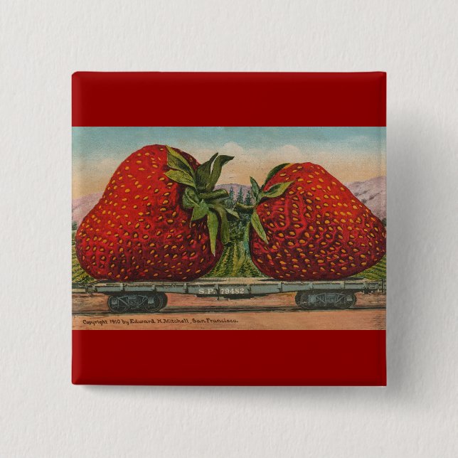 Badge Carré 5 Cm Fraises Giant Fruit Antique Fruit Amusant (Devant)