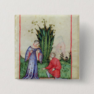 Badge Carré 5 Cm Fruit de mandragore, from Tacuinum Sanitatis