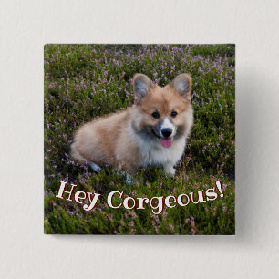 Badge Carré 5 Cm Fundy Corgi Pun