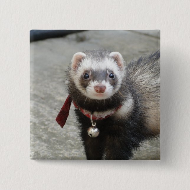 Badge Carré 5 Cm Furet (Devant)