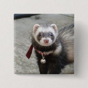 Badge Carré 5 Cm Furet