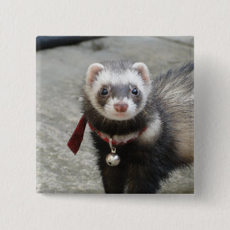 Badge Carré 5 Cm Furet