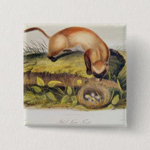 Badge Carré 5 Cm furet Noir-aux pieds