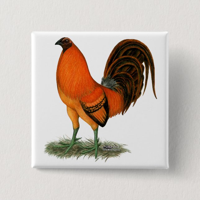 Badge Carré 5 Cm Gamecock Ginger Red Rooster (Devant)