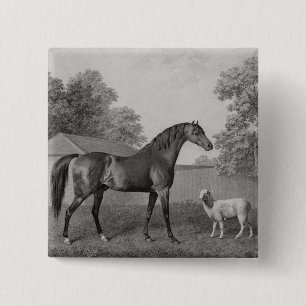 Badge Carré 5 Cm George Stubbs Dungannon, gravé par George Town
