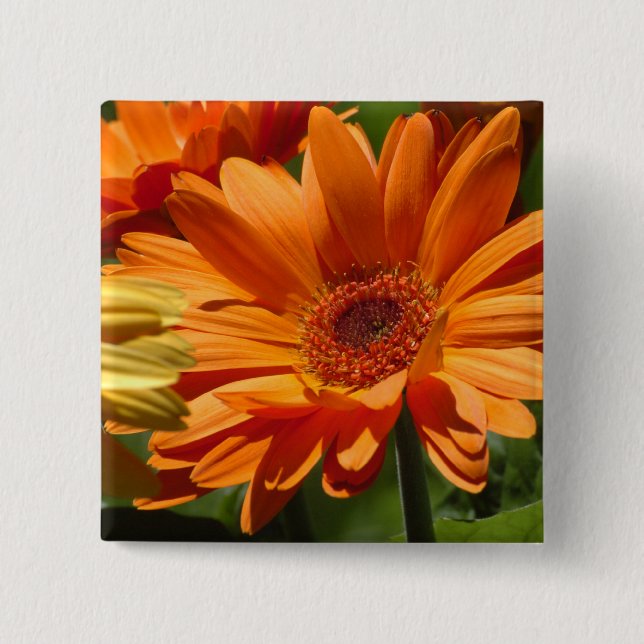 Badge Carré 5 Cm Gerbera orange (Devant)