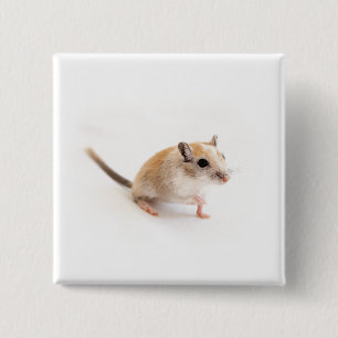 Badge Carré 5 Cm Gerbil Cute Bébé Animal Animal Pet Gerbils Modè