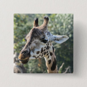 Badge Carré 5 Cm Girafe