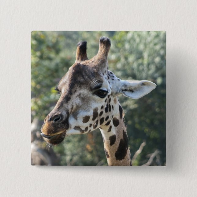 Badge Carré 5 Cm Girafe (Devant)