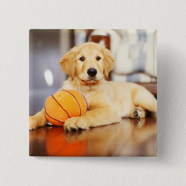 Badge Carré 5 Cm Golden Retriever (Devant)
