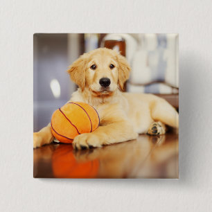 Badge Carré 5 Cm Golden Retriever avec un jouet de basket