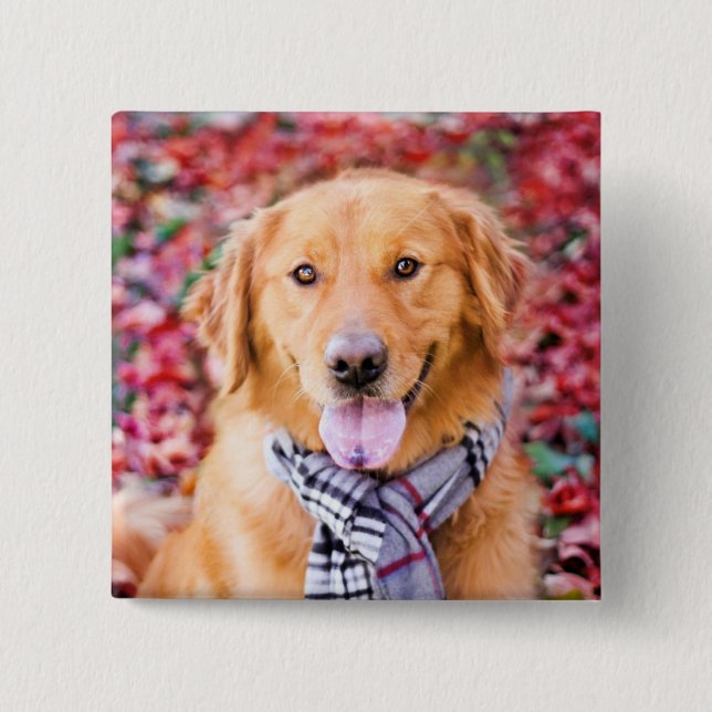 Badge Carré 5 Cm Golden Retriever In Scarf (Devant)