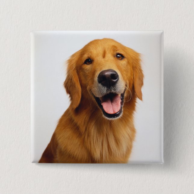 Badge Carré 5 Cm Golden Retriever Smile (Devant)