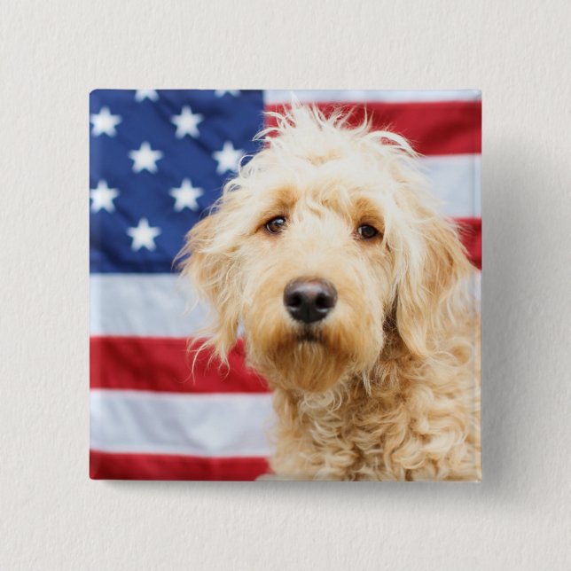 Badge Carré 5 Cm Goldendoodle avec drapeau américain (Devant)
