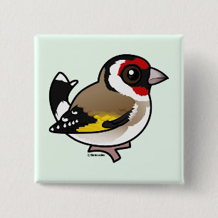 Badge Carré 5 Cm Goldfinch européen