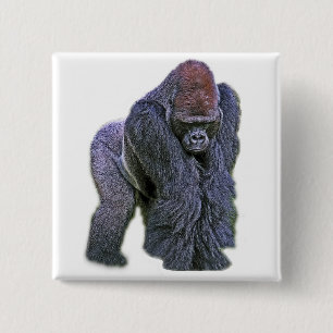 Badge Carré 5 Cm Gorille de Silverback, dos de blanc (g2p2)