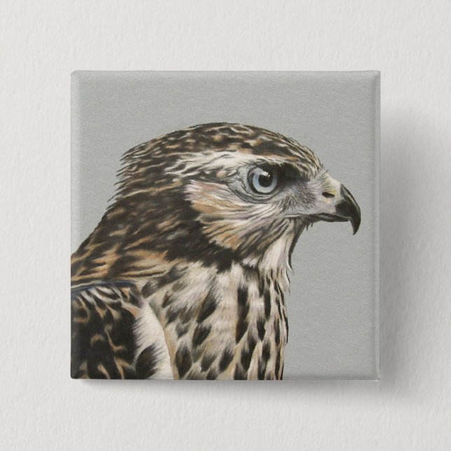 Badge Carré 5 Cm Goshawk immature (Devant)