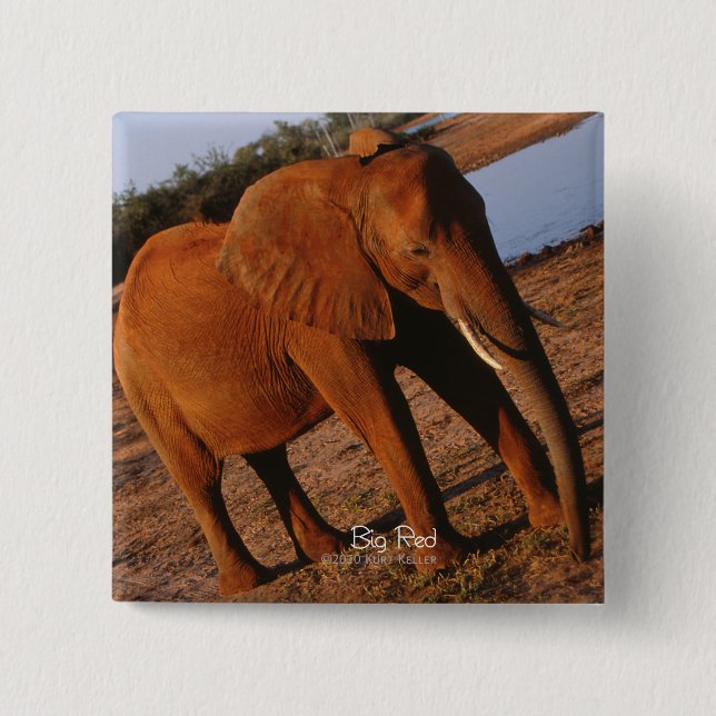 Badge Carré 5 Cm Grand éléphant rouge (Devant)