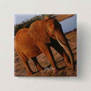 Badge Carré 5 Cm Grand éléphant rouge