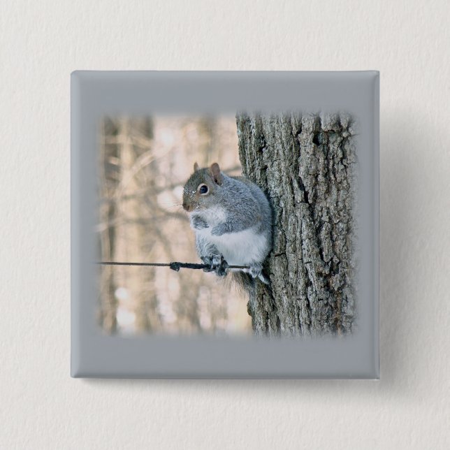 Badge Carré 5 Cm Gray Squirrel - Sciurus carolinensis (Devant)
